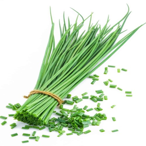 Chives