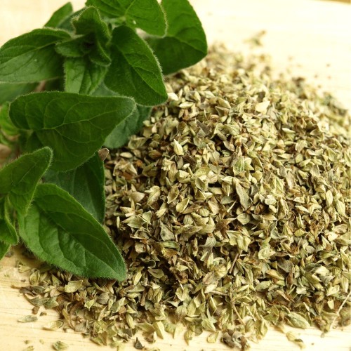 Oregano